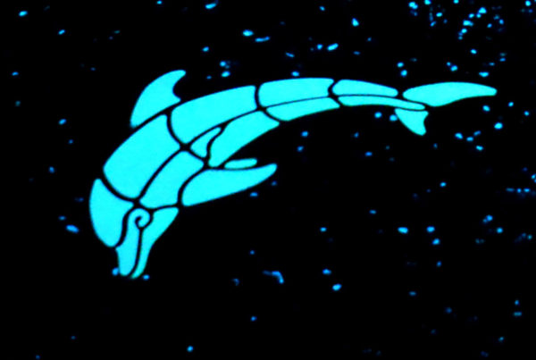 glow int he dark dolphin pool mosaic