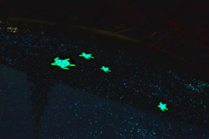 Glow in the Dark Pool Mosaic